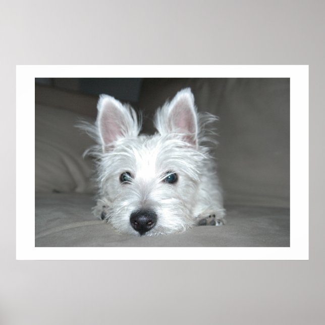 Póster Tucker (Frente)