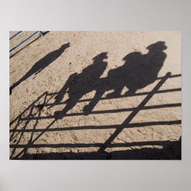 Poster Tucson, Arizona: Sombras dos competidores do Rodei (Frente)