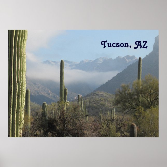 Póster Tucson Desert (Frente)