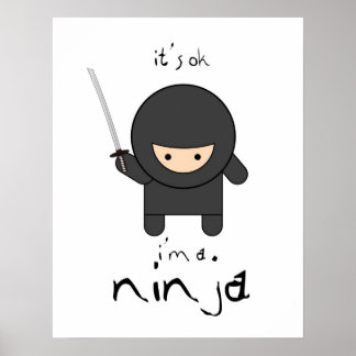 Póster Tudo bem, eu sou um ninja