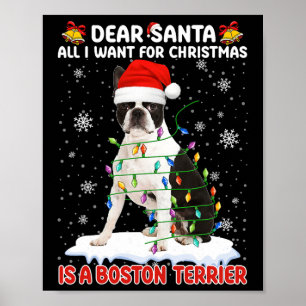 Poster Tudo O Que Eu Quero É Papais noeis De Boston Terri
