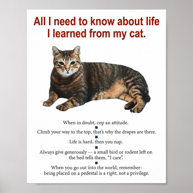Poster Tudo O Que Preciso Saber Sobre A Vida Que Aprendi (Frente)