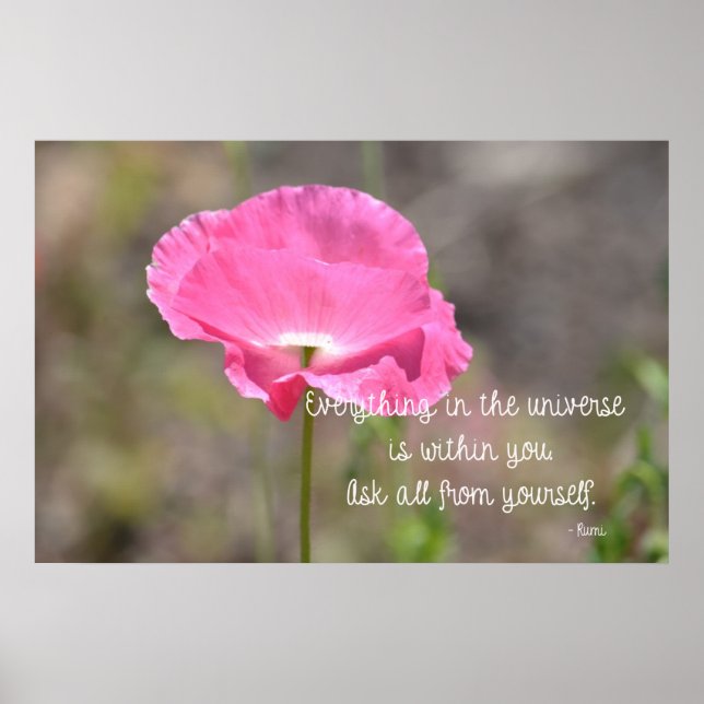 Poster Tudo Poppy (Frente)