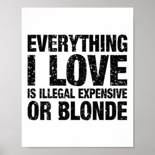 Poster Tudo Que Eu Amo É Ilegal Caro Ou Louro