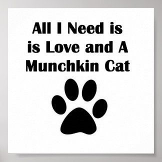 Póster Tudo que preciso é amor e um gato Munchkin