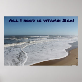 Poster Tudo que preciso é do Mar de Vitamina!