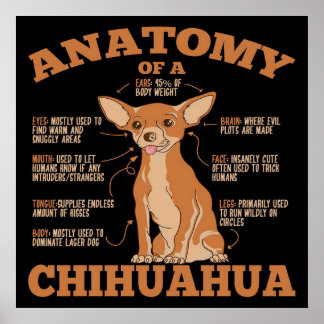 Poster Tudo que você precisa | Cão Chihuahua | Chihuahua 