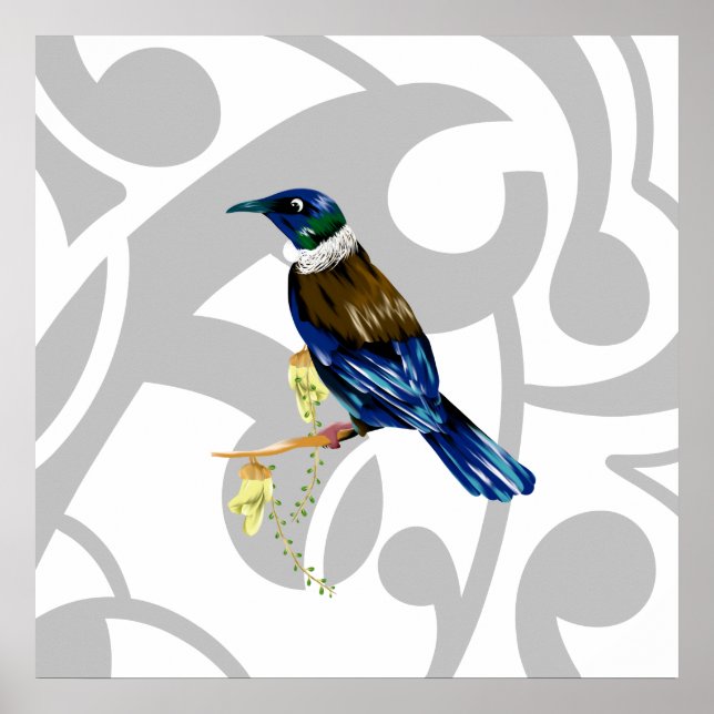 Poster Tui NZ Bird (Frente)