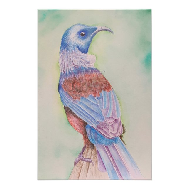 Póster Tui - poster (Frente)