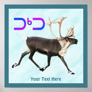 Poster Tuktu - Cariou na neve