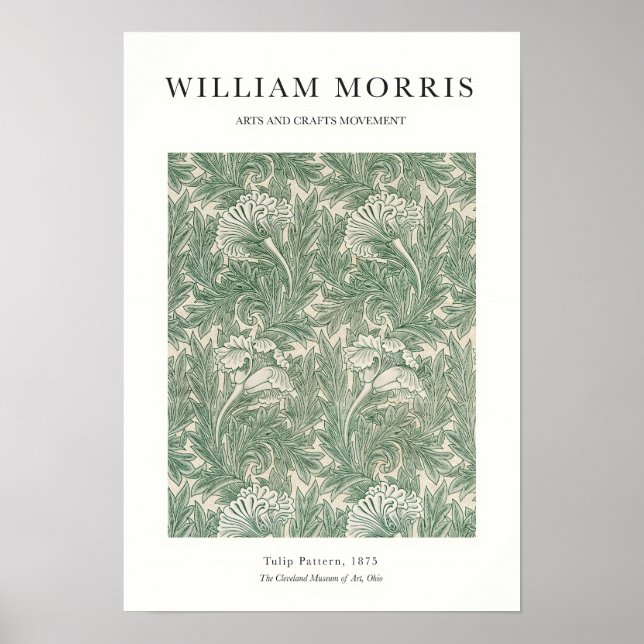 Poster Tulip (Frente)