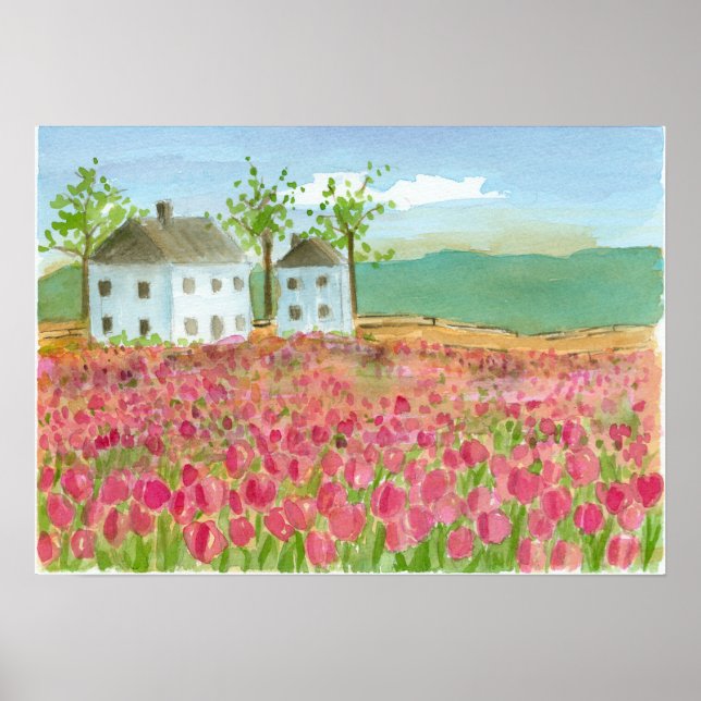 Poster Tulip Flower Field Shaker House Primavera Rosa Flo (Frente)