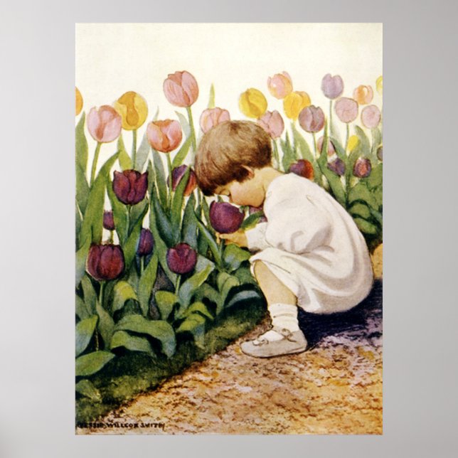 Poster Tulip Garden (Frente)