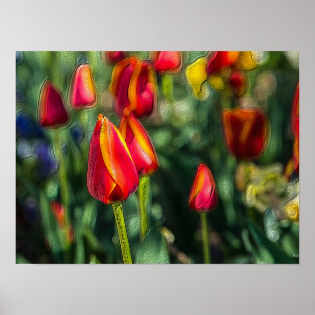 Poster Tulip Garden Texturizado (Frente)