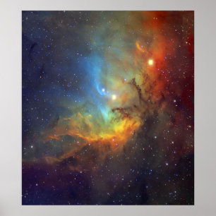 Poster Tulip Nebula SH2-101 NASA
