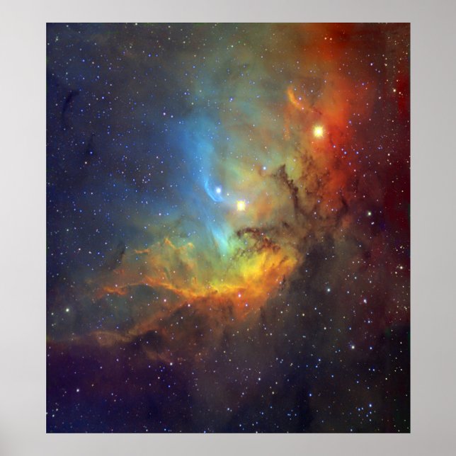 Poster Tulip Nebula SH2-101 NASA (Frente)