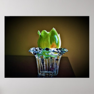 Poster Tulip Poplar Blossom,