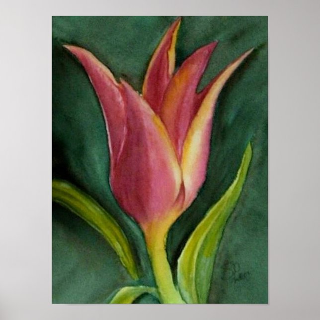 Poster Tulipa (Frente)