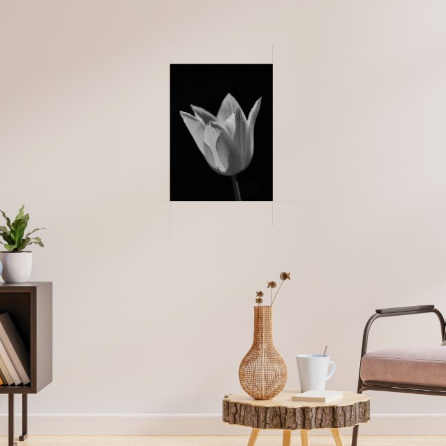 Poster Tulipa (Sala de Estar 3)