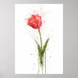 Poster Tulipa