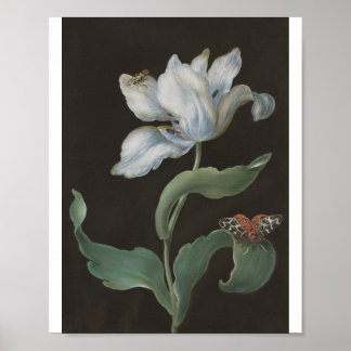 Poster Tulipa com uma Mariposa-Tigre de Jardim por B. R. 