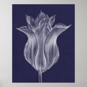 Póster Tulipa III monocromática