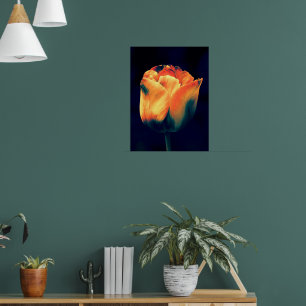 Poster Tulipa Laranja e Verde