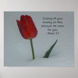 Póster Tulipa na neve