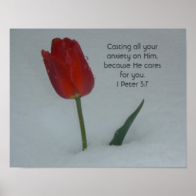 Póster Tulipa na neve (Frente)