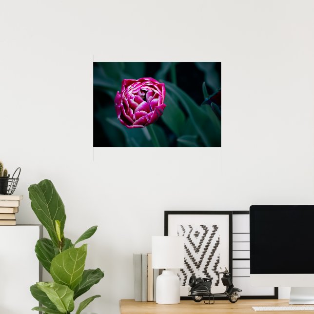 Poster tulipa rosa (Escritório em casa)