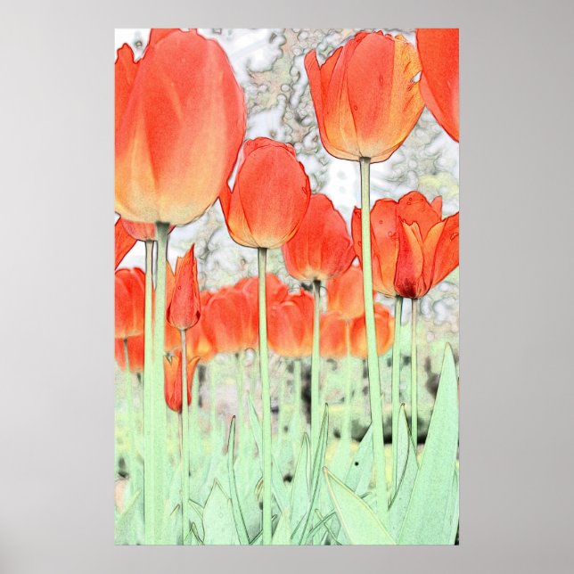 Póster tulipa vermelha poster. planta de jardim floral p (Frente)