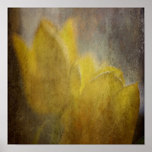 Póster Tulipas Amarelas Flores Arte Floral Rústica (Frente)