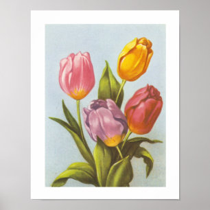 Póster Tulipas Amarelas, Rosa e Púrpuras da Vintage
