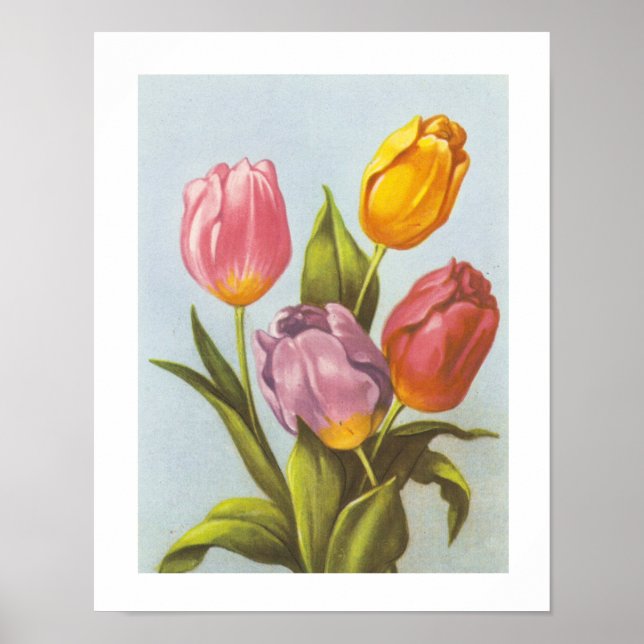 Póster Tulipas Amarelas, Rosa e Púrpuras da Vintage (Frente)