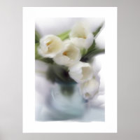 Tulipas brancas