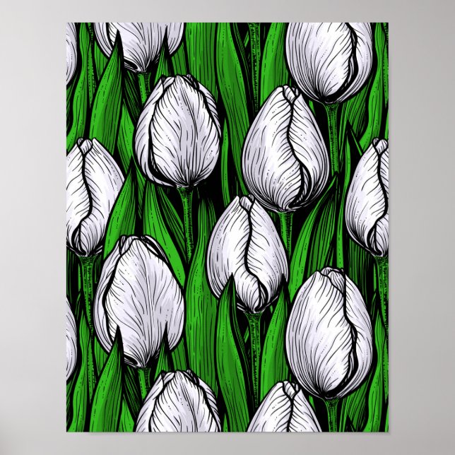 Poster Tulipas brancas com folhas verdes (Frente)