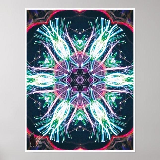 Póster Tulipas Caleidoscópio (Frente)