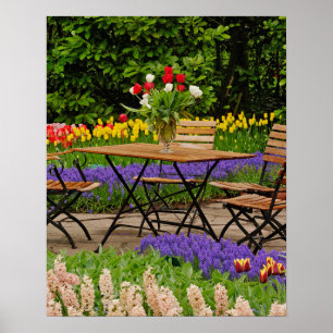 Póster Tulipas de mesa no jardim, Jardins Keukenhof,