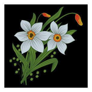 Póster Tulipas e Narcisos Flores Fundo Preto