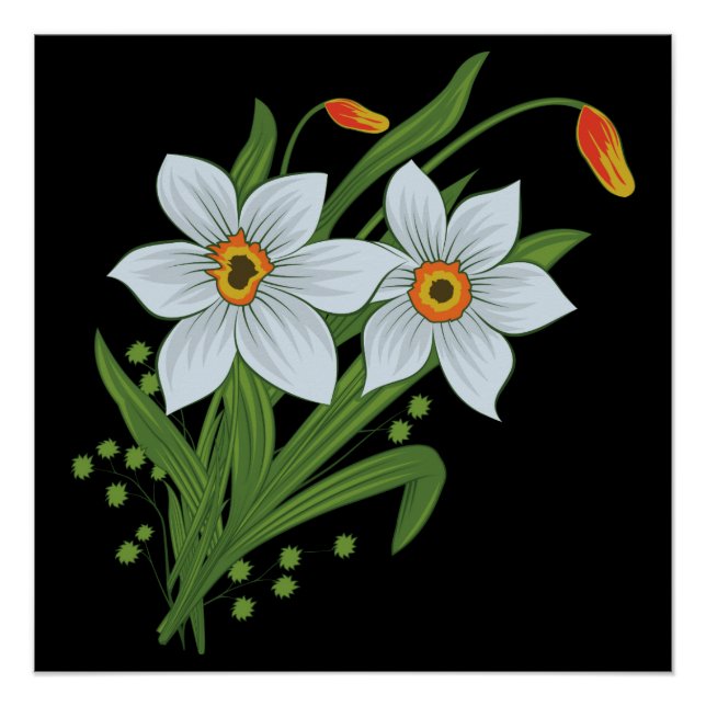 Póster Tulipas e Narcisos Flores Fundo Preto (Frente)