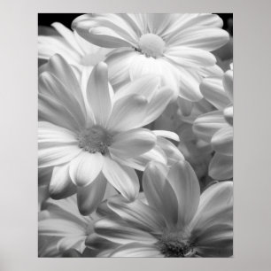 Póster Tulipas em Keukenhof Gardens, Holanda.2