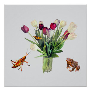 Póster Tulipas, Gafanhoto, Borboleta e Rã