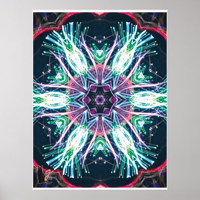Póster Túlipas Kaleidoscópio (Frente)