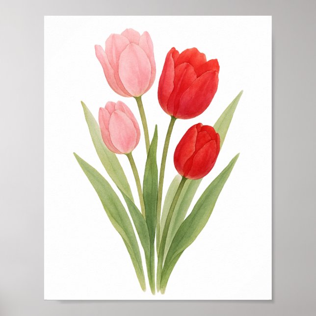Poster Tulipas Lindas Rosa Vermelhas pintando Parede Flor (Frente)