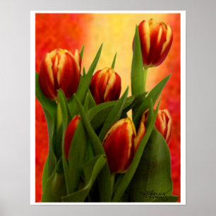 Poster Tulipas Pequenas Paredes Arrancando O Zazzle MUSEU