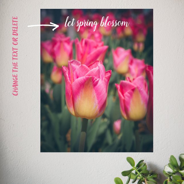Poster Tulipas primavera do estilo de vintagem rosa (Criador carregado)