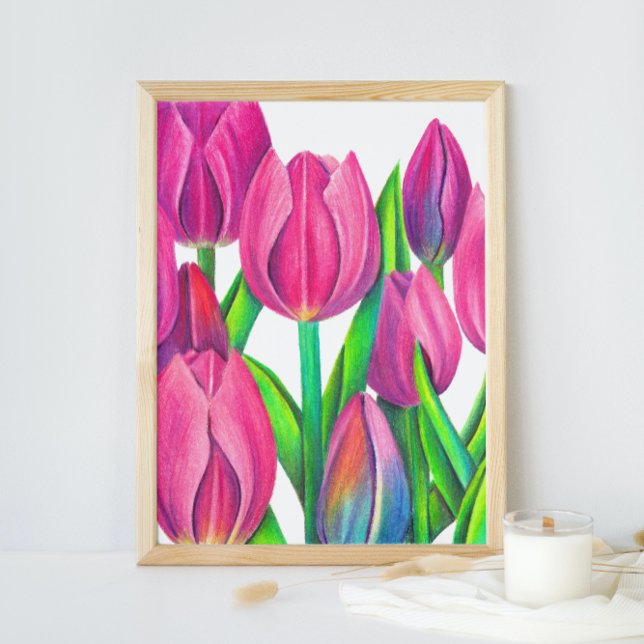Poster Tulipas Rosa Botânicas Desenho (Criador carregado)