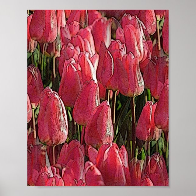 Poster Tulipas Rosa Floral (Frente)