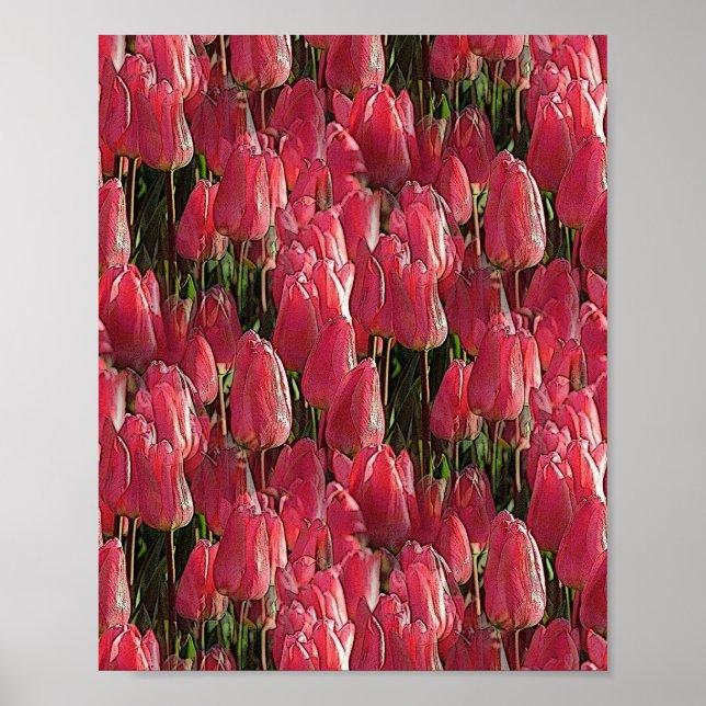 Poster Tulipas Rosa Floral (Frente)