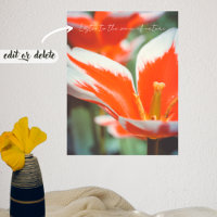 Tulipas vermelhas